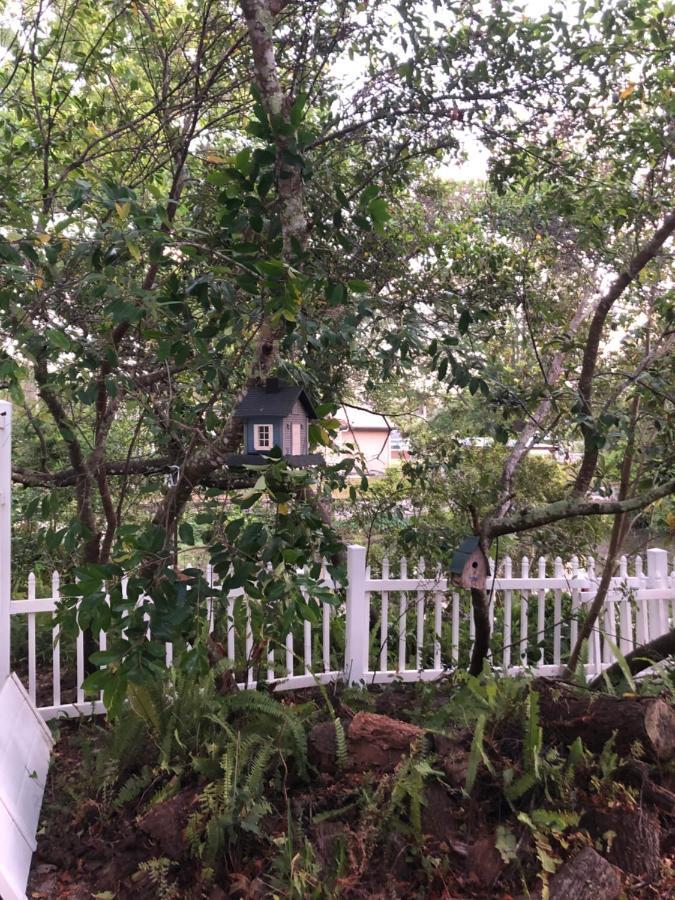 Cozy Cottage River House Weeki Wachee Extérieur photo