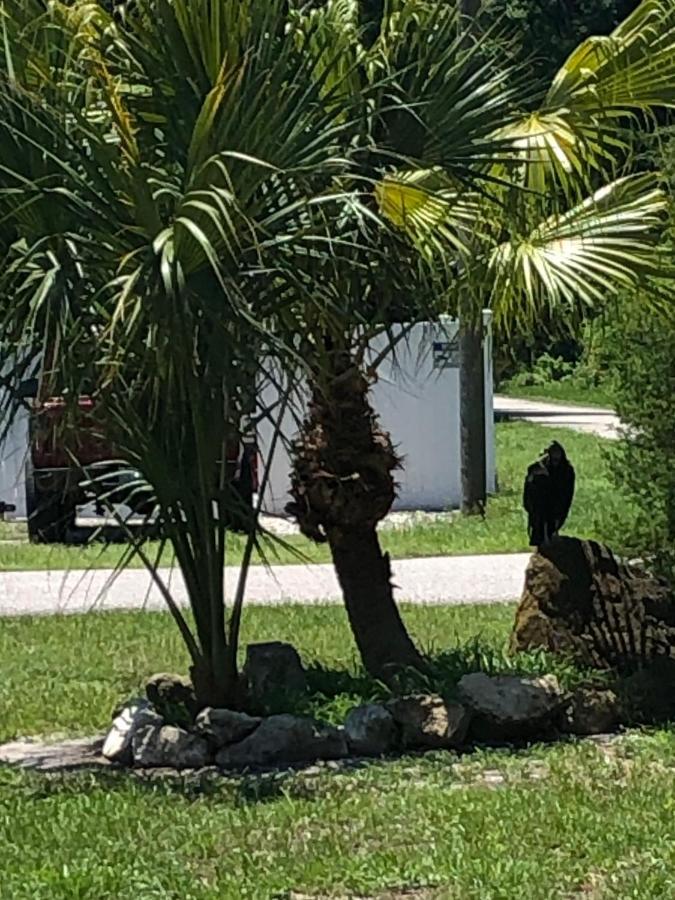 Cozy Cottage River House Weeki Wachee Extérieur photo
